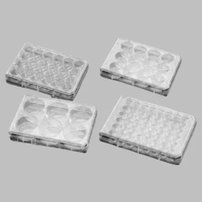 Corning Falcon 6-Well Cell Culture Plate, Standard TC-Treated, Flat Bottom, with Lid, Part No. 353046 - Image 1