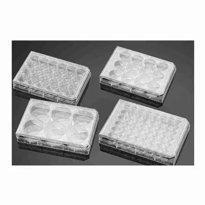 Corning Falcon 12-Well Cell Culture Plate, Standard TC-Treated, Flat Bottom, with Lid, Part No. 353043 - Image 1